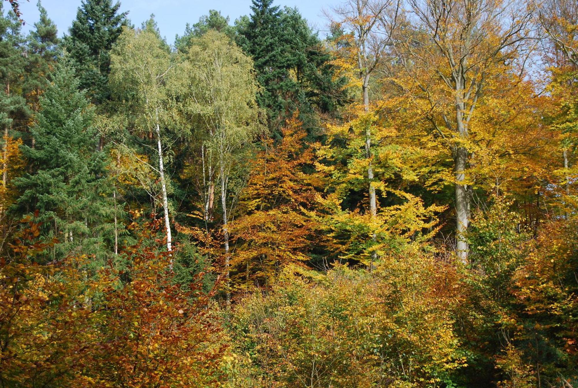 Osrodek Wypoczynkowy Laguna Lubniewice Exterior foto
